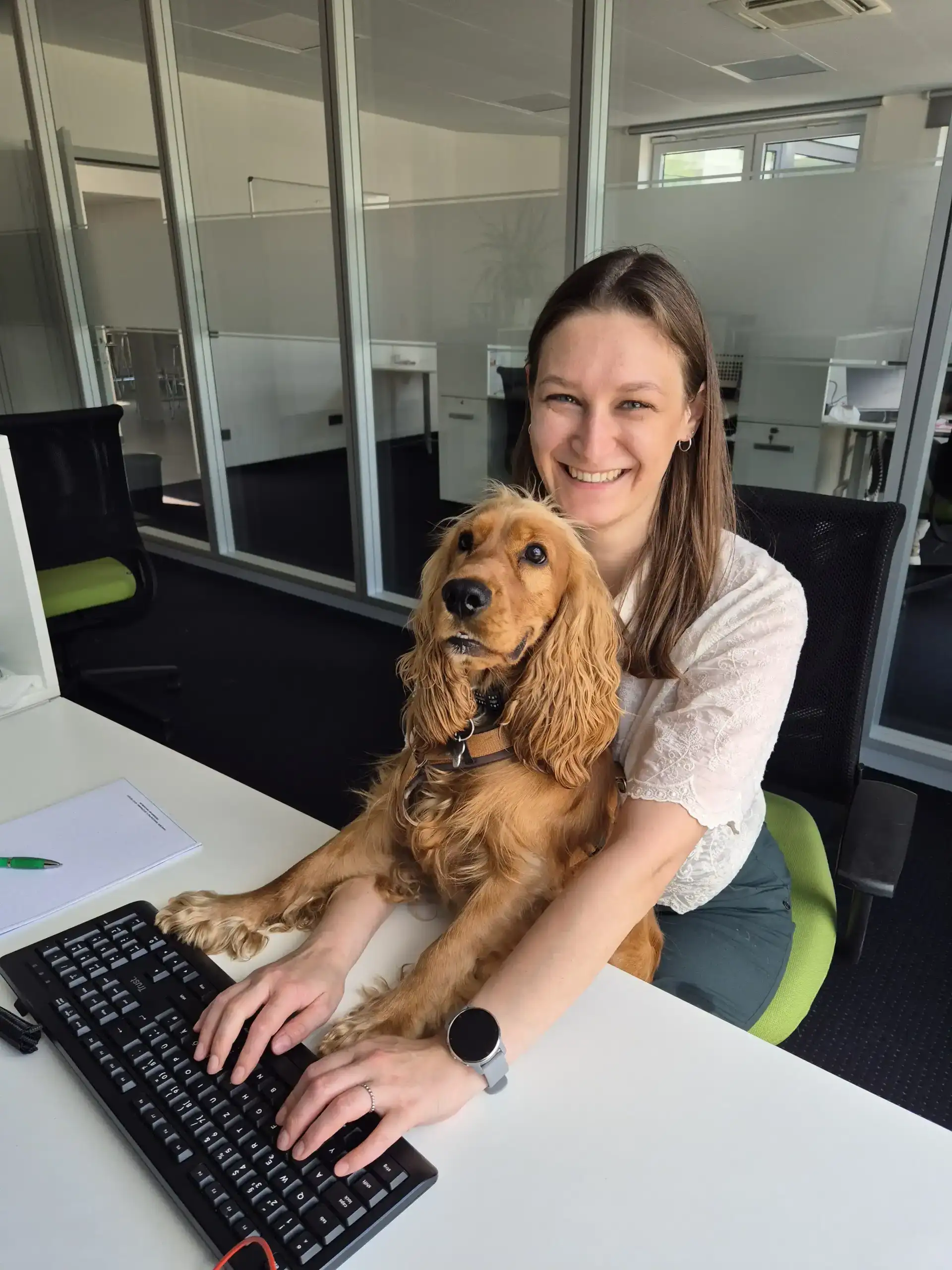 Bürohund Cookie