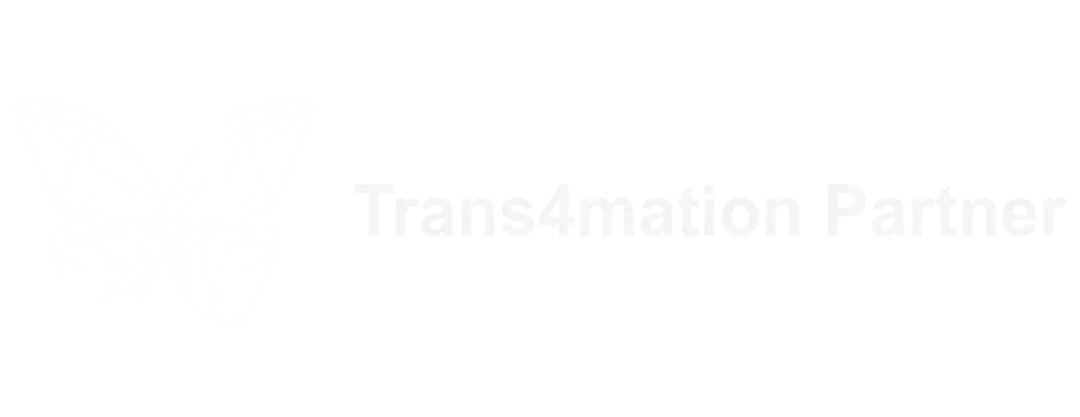 Logo mit einem stilisierten, polygonalen Schmetterling aus weißen Linien links und dem Schriftzug ‚Trans4mation Partner‘ in weißen Buchstaben rechts, dargestellt auf schwarzem Hintergrund.